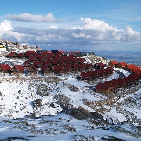 Luna Chalets Da Montanha - Serra Da Estrela 코빌라 외부 사진