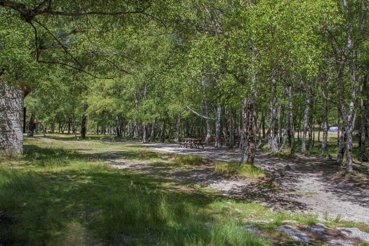 Luna Chalets Da Montanha - Serra Da Estrela 코빌라 외부 사진